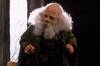 Warwick Davis, alto y claro sobre la polmica de J.K. Rowling y Harry Potter: 'No leo eso'