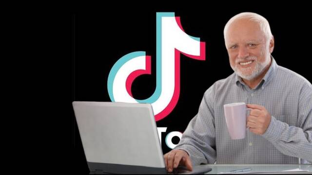 As funciona TikTok: Gua rpida para boomers